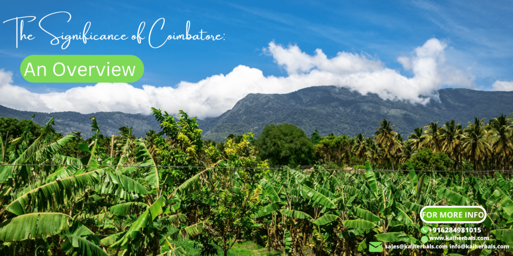 The significance of Coimbatore : an Overview
